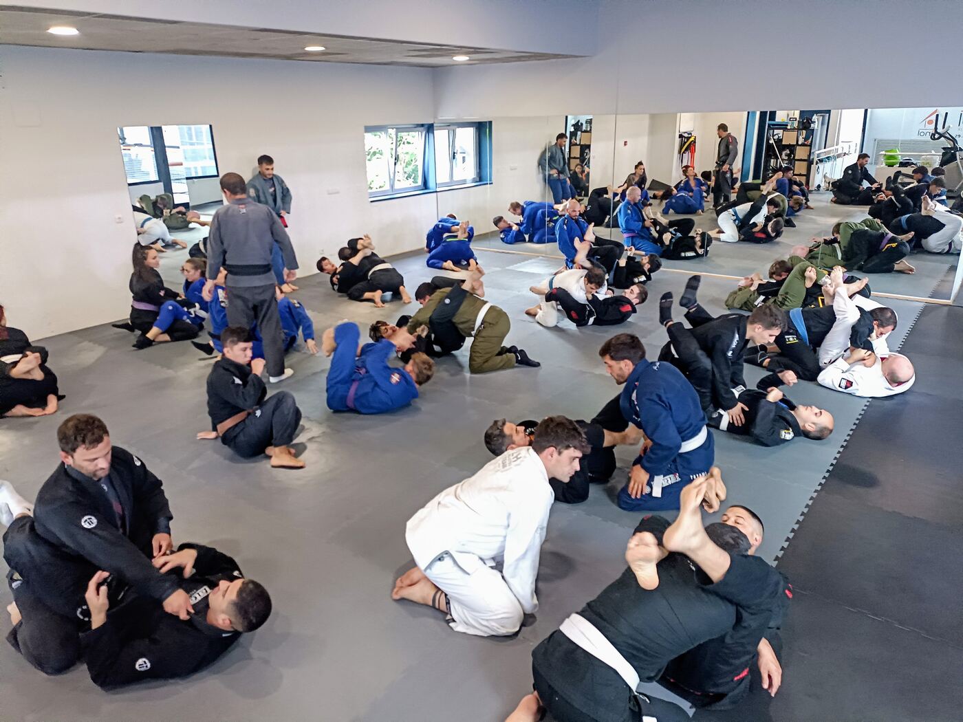 Clase de BJJ: parejas trabajando técnica en el tatami