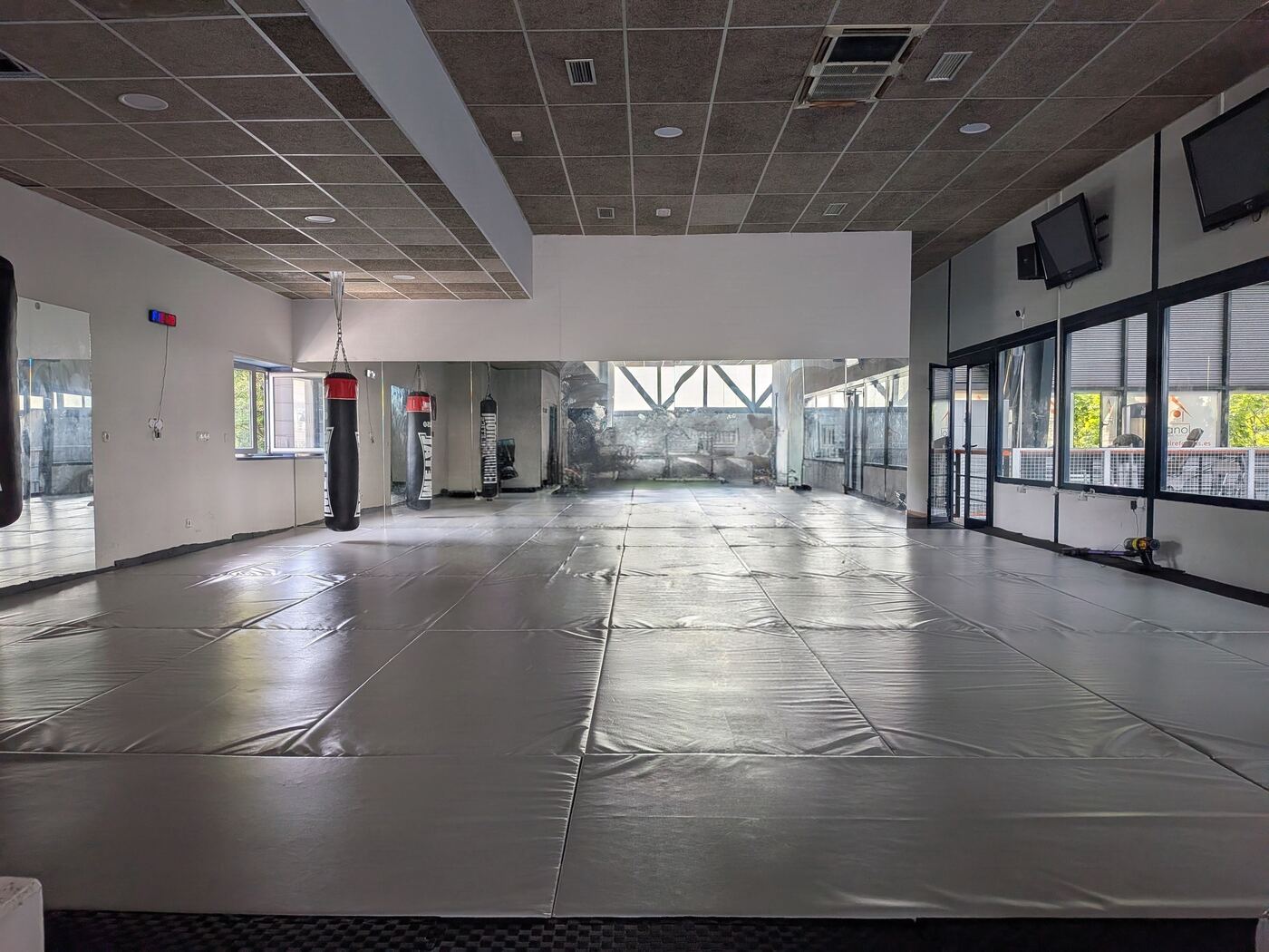 Sala de tatami amplia y luminosa con sacos de boxeo al fondo